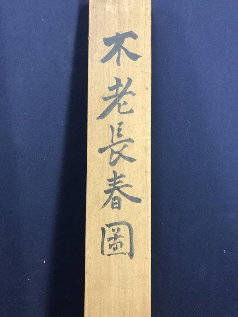 真作 水田竹圃 不老長春図 老松図 バラ図 花図 掛軸 名家