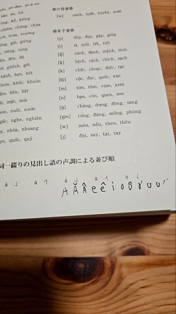 詳解ベトナム語辞典 川本邦衛著の通販はau PAY マーケット - 輸入雑貨