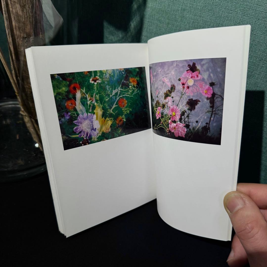 1998年発行800部限定ペーター・フィッシュリ/ダヴィッド・ヴァイス