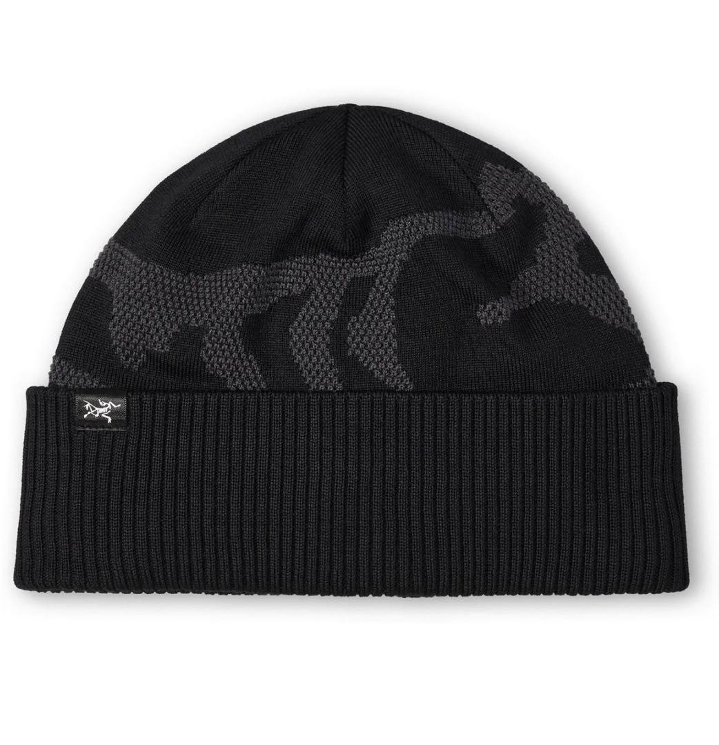 patagonia パタゴニア 北斎2016 キャップ