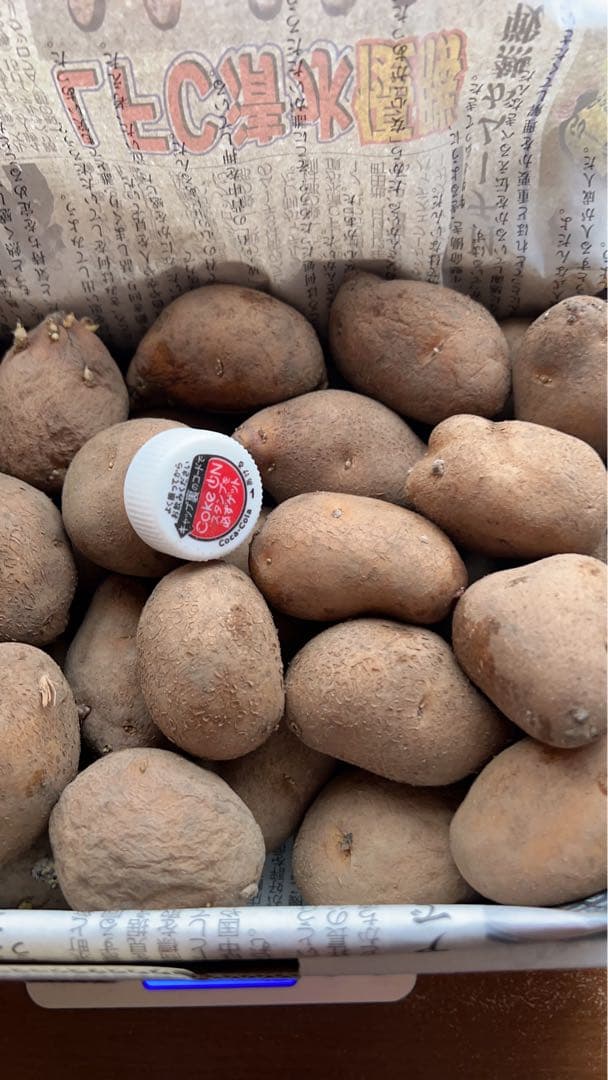 北海道 十勝産 インカのめざめ種芋 1.4kg - メルカリ
