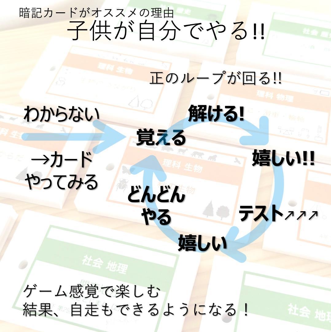 中学受験 暗記カード【4年上 社会・理科 6-19回】組分けテスト対策 予