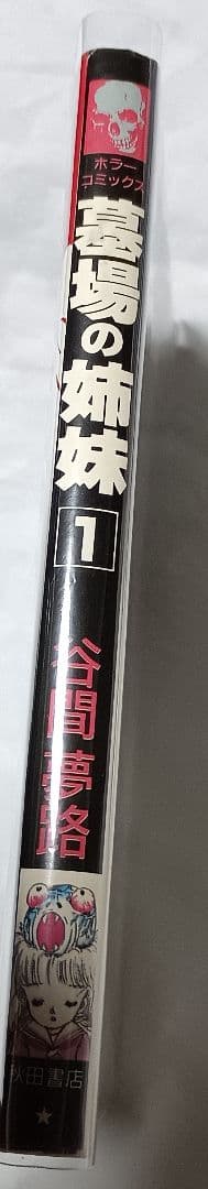 墓場の姉妹 1 ＊ 谷間夢路