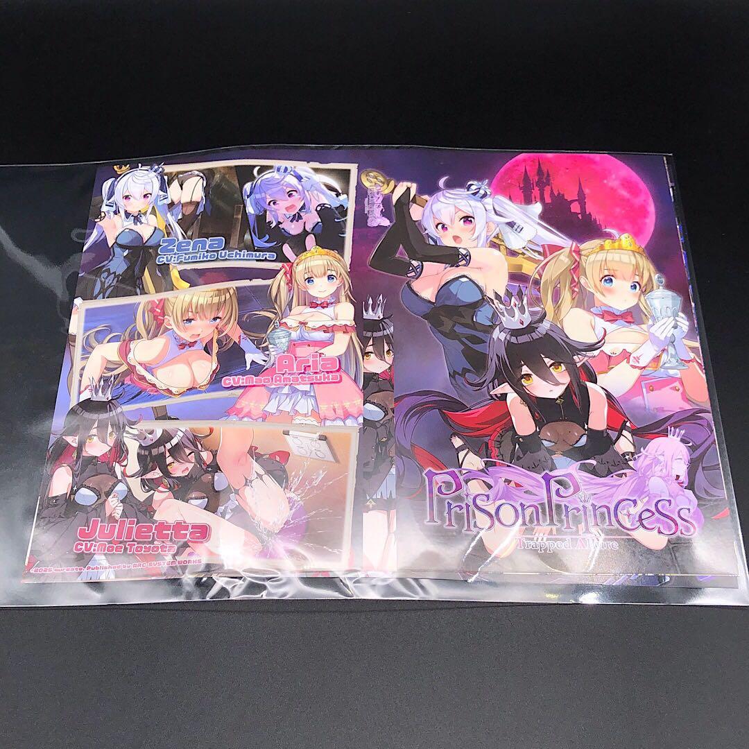 プリズンプリンセス + プリズンプリンセス ハメられし姫たち switch