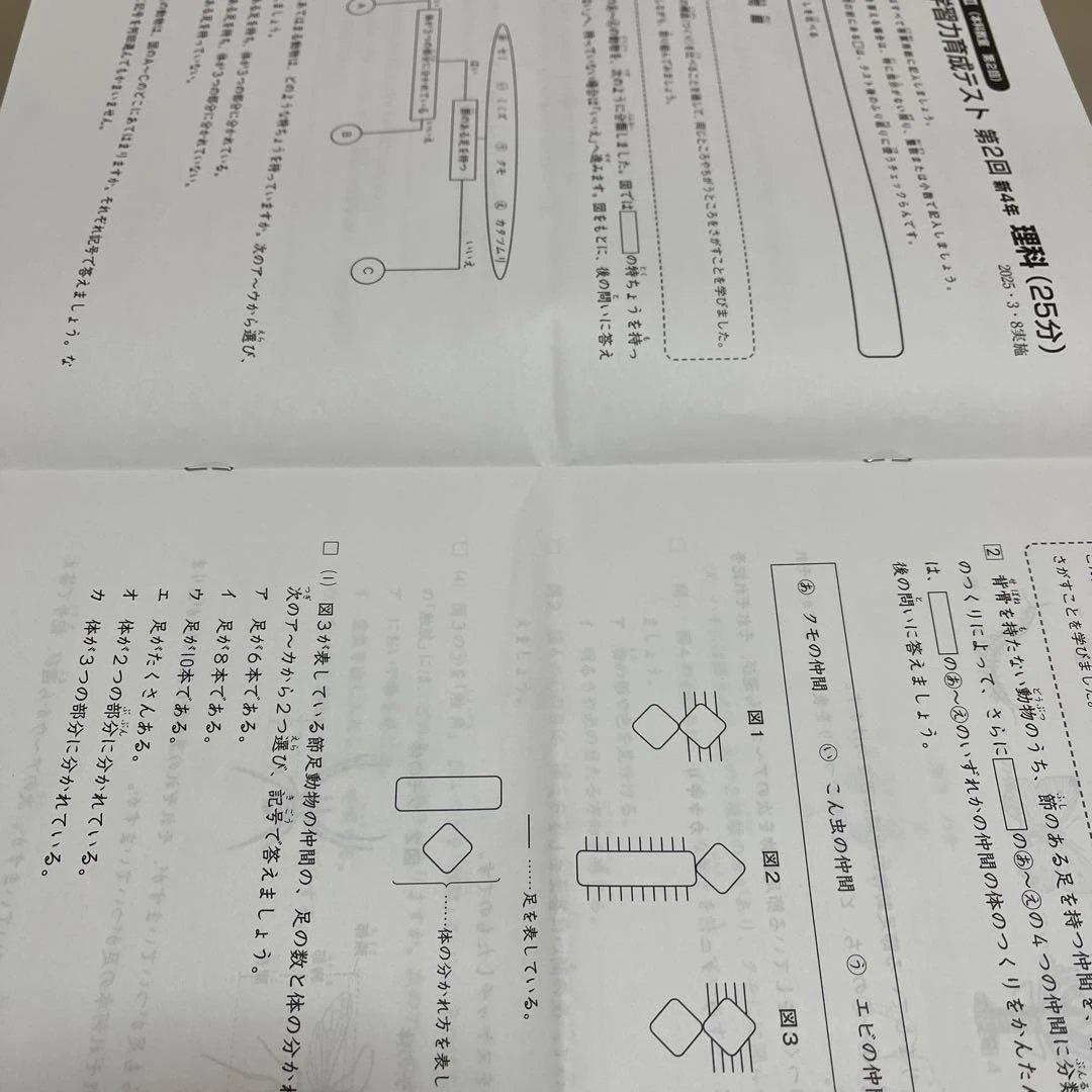 2025年 日能研 4年 ステージⅡ育成テスト➁ - メルカリ