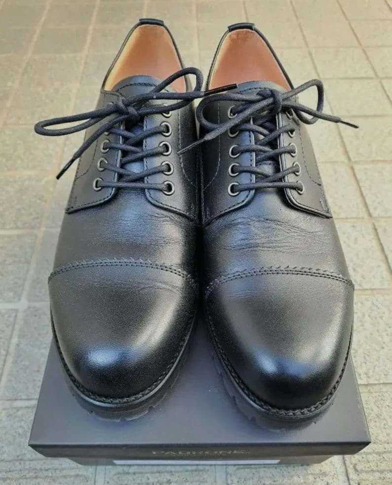 ストレートチップ 25.0cm