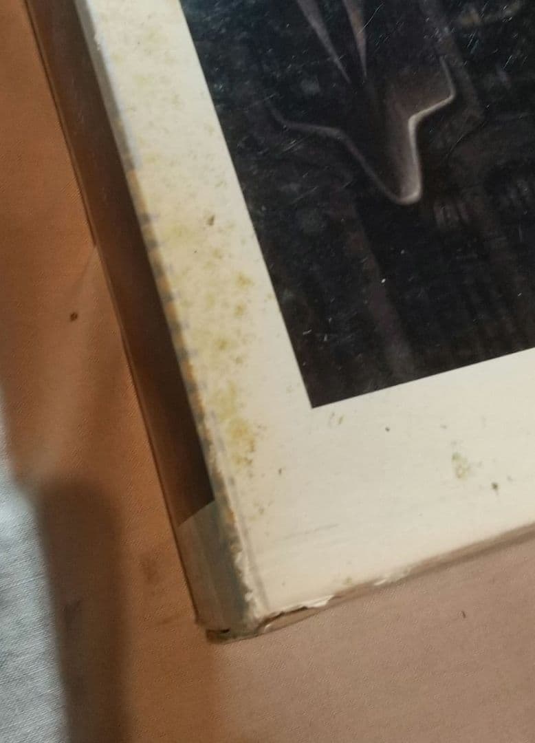 HR GIGER ジグソーパズル1000ピースの通販はau PAY マーケット - 輸入