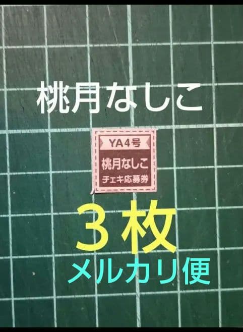 3枚 応募券 桃月なしこ 直筆サイン入りチェキ 抽プレ ヤングアニマル