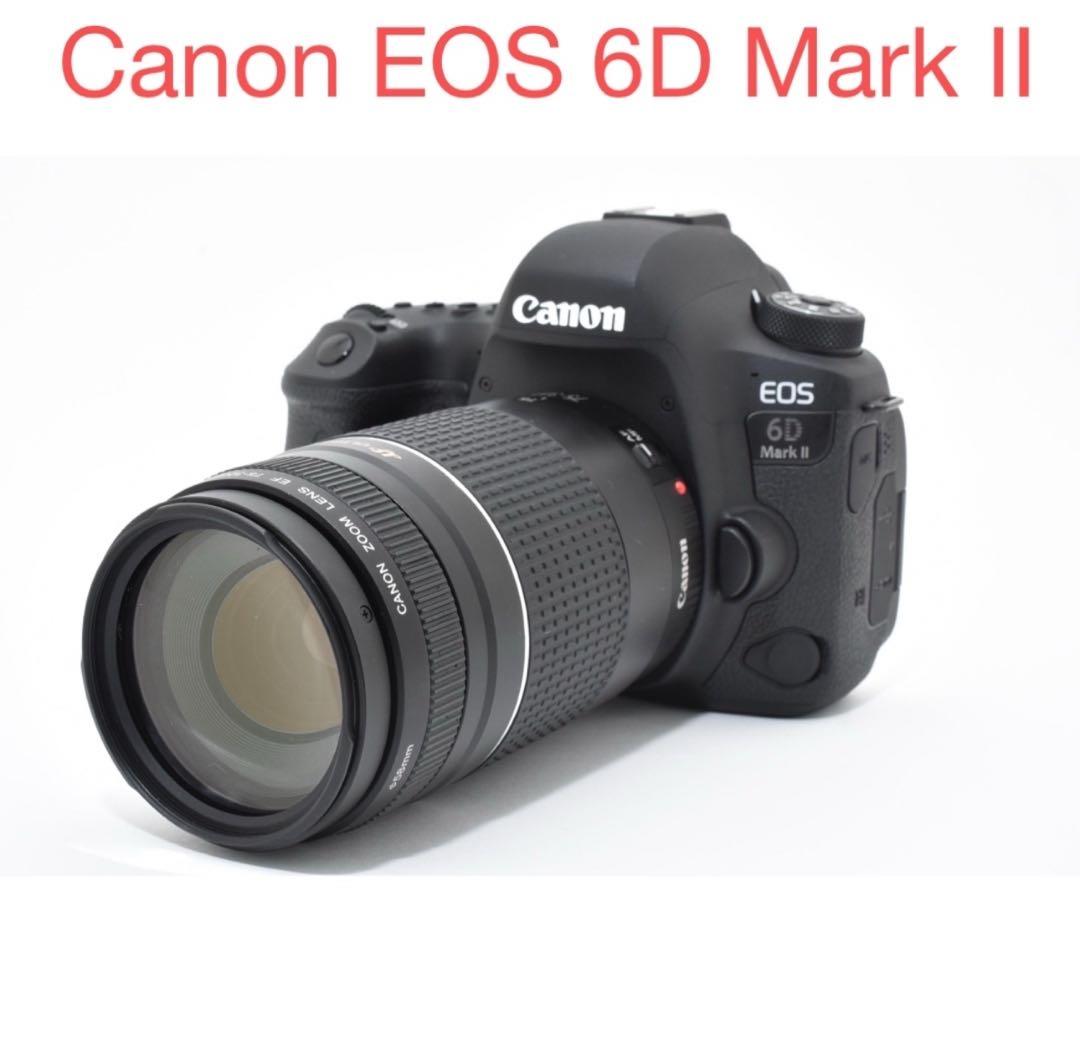 Canon EOS 6D Mark II / Canon EF 75-300㎜