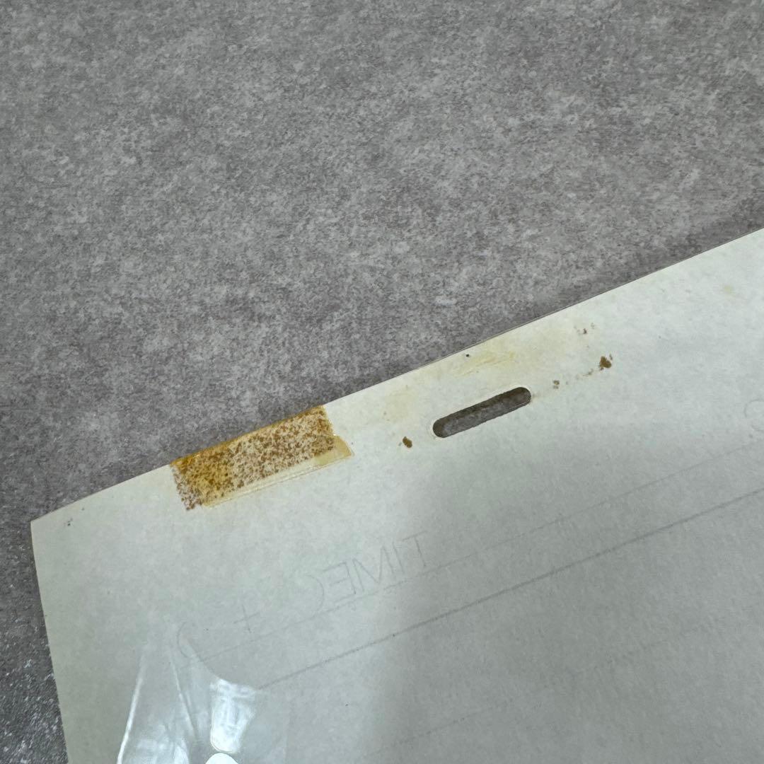 希少 おもひでぽろぽろ 岡島タエ子 セル画 C5 スタジオジブリ - メルカリ