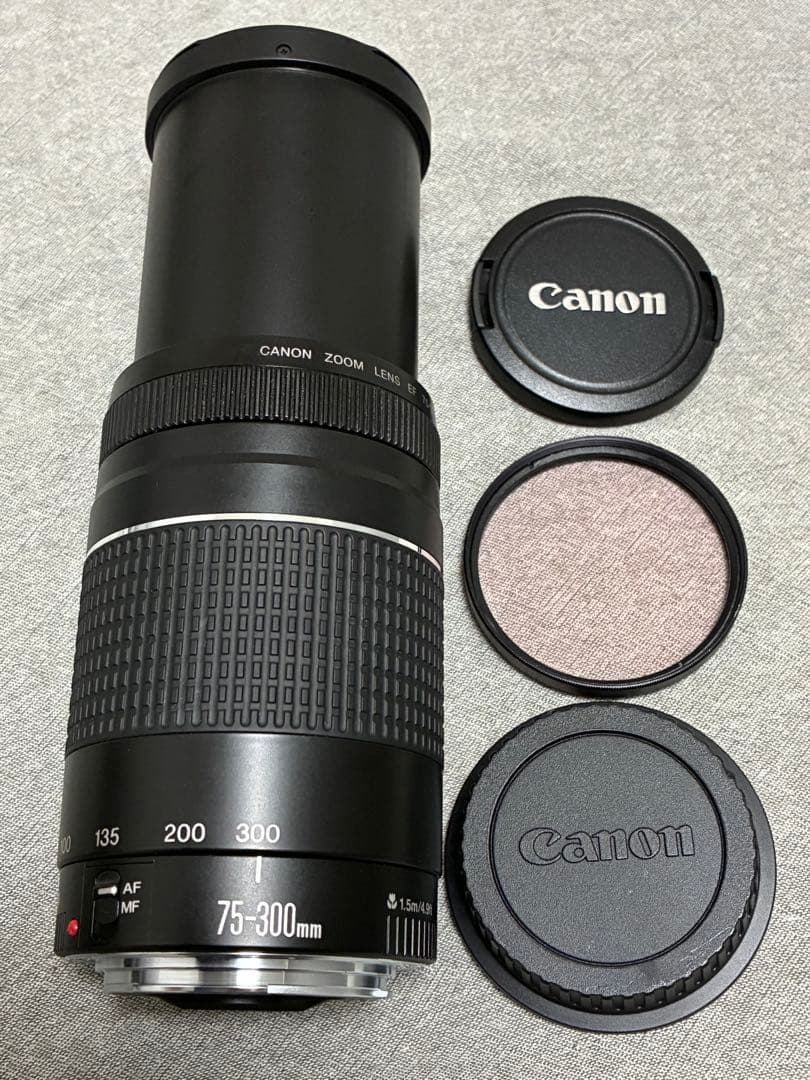 ⭐️美品⭐️ Canon EF 75-300mm F/4-5.6 III 望遠レンズ