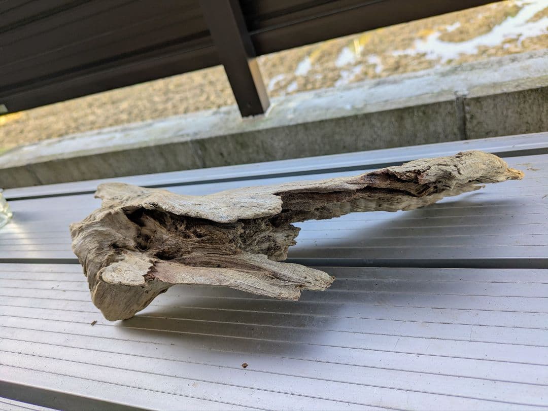 No.564 アク抜き済流木 爬虫類登リ木 - メルカリ