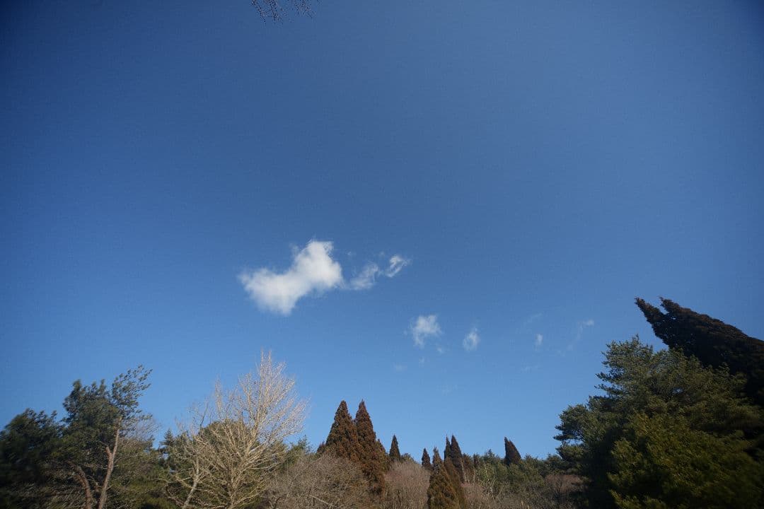 SIGMA 12-24mm F4.5-5.6 DC HSM EFマウント