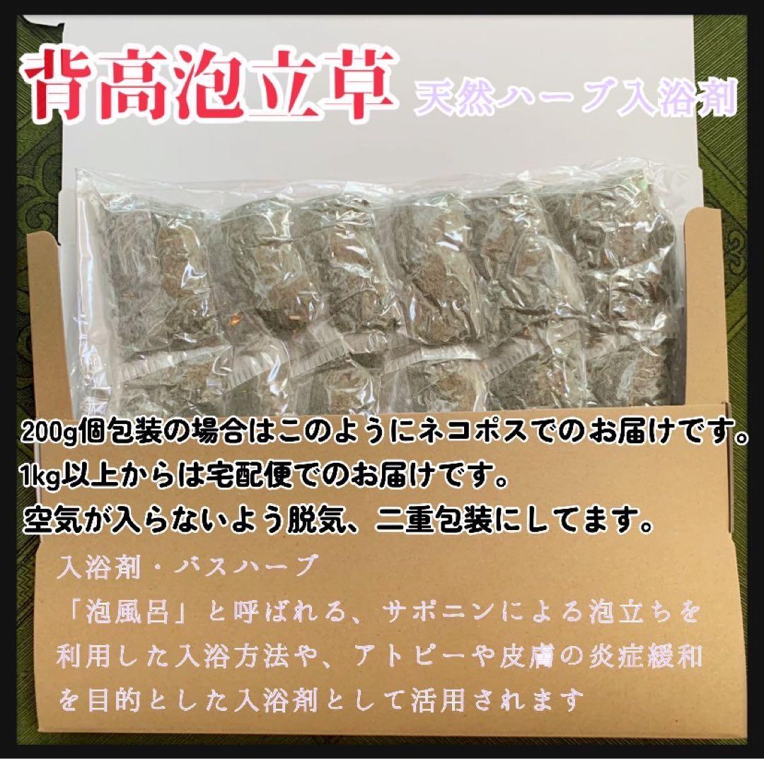 天然ハーブ】背高泡立草 セイタカアワダチソウ1kg 個包装80個前後 大
