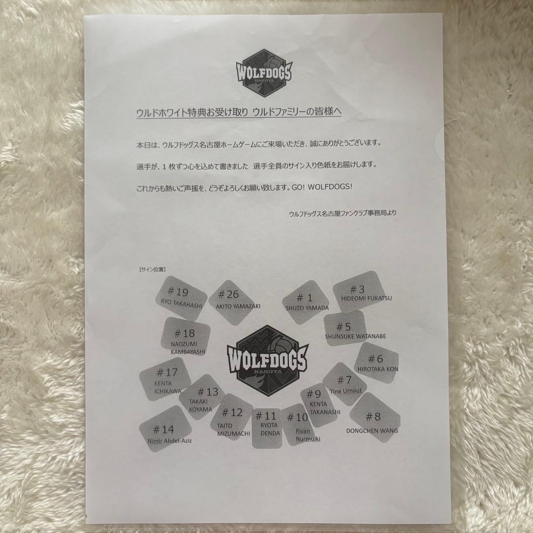 ウルフドッグス名古屋 サイン 色紙 市川健太 水町泰杜 - メルカリ