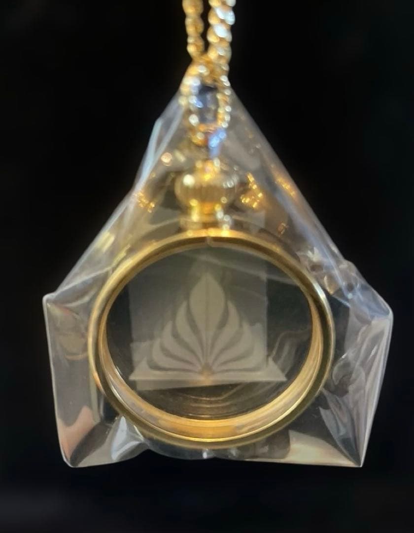 ESP科学研究所35周年限定ネックレスペンダント 特別大講演会DVD付き