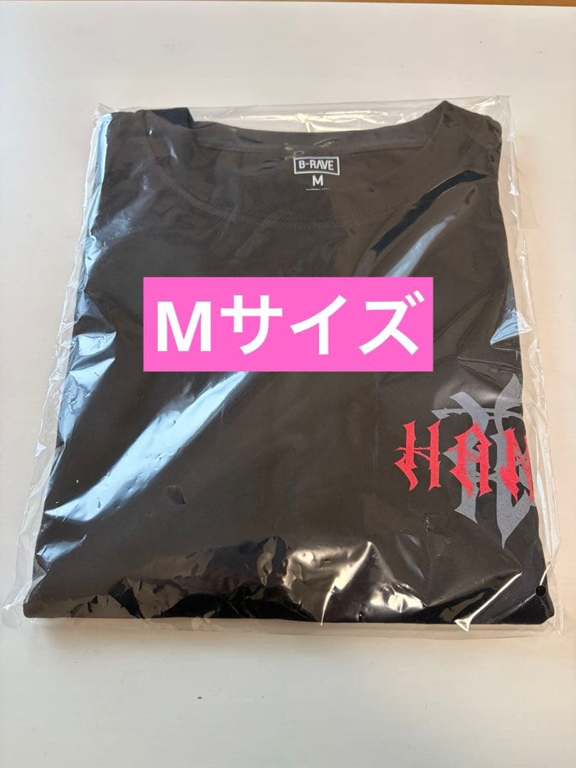 即日発送】HANA ロゴTシャツ Mサイズ - メルカリ