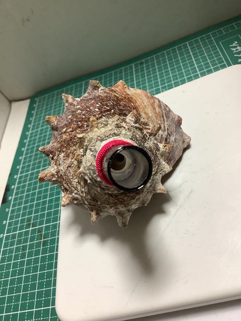 ヤフメリ7・法螺貝・山伏・修験者・金峯山・羽黒山・戦国武将・安全