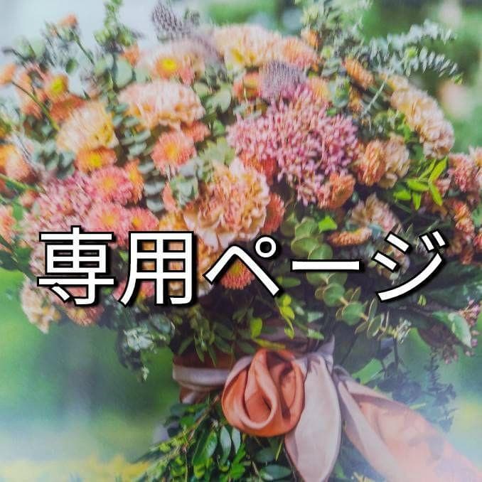 干し芋屋柴田(感謝)/4 塚田商店】茨城県産紅はるか 干し芋 平干し 切り落し 800g×4袋 – 茨城