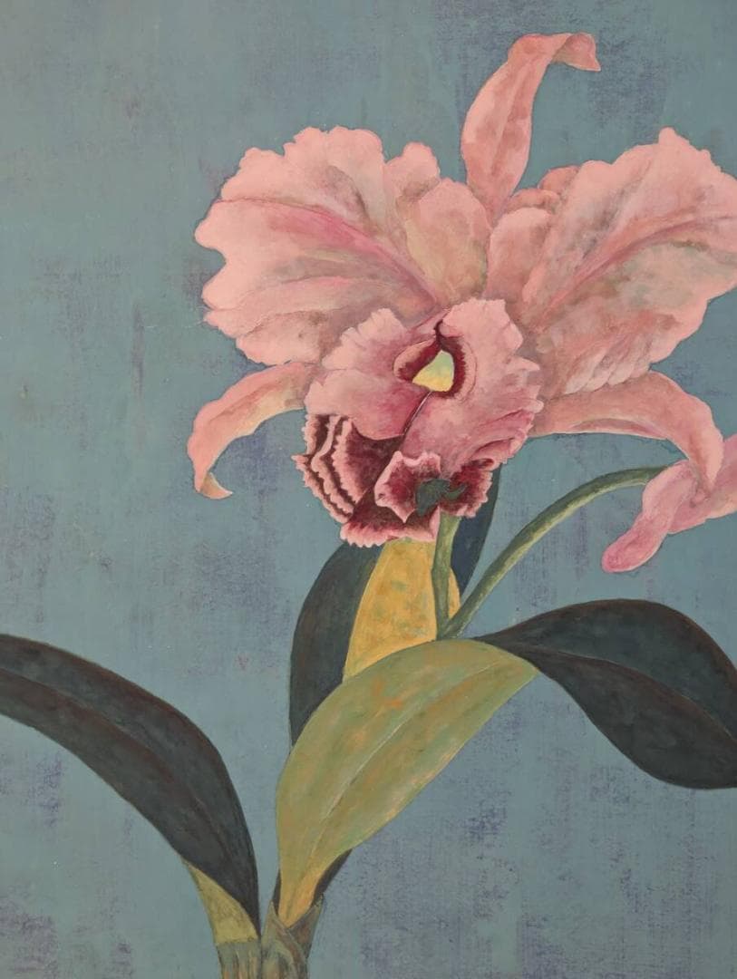 【真作】絵画　中澤登代　日本画10号　咲き誇るカトレア　箱入　Z20