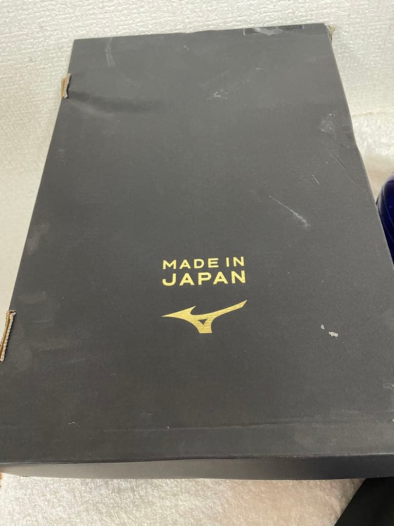 【ミズノプロ】ミズノプロスパイク21年限定モデル　29.0cm