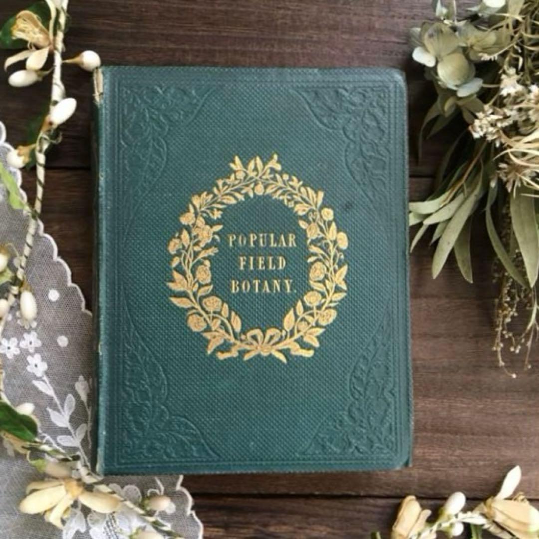 L833洋書古書 【1852年発行】大変希少なイギリスのアンティーク植物図鑑 L833洋書古書 【1852年発行】大変希少なイギリスのアンティーク植物