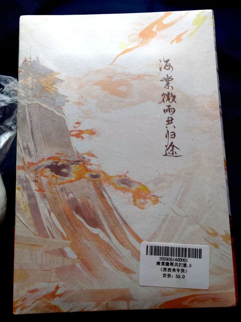 海棠微雨共帰途◇海棠微雨共归途◇西西弗限定◇5巻 - メルカリ