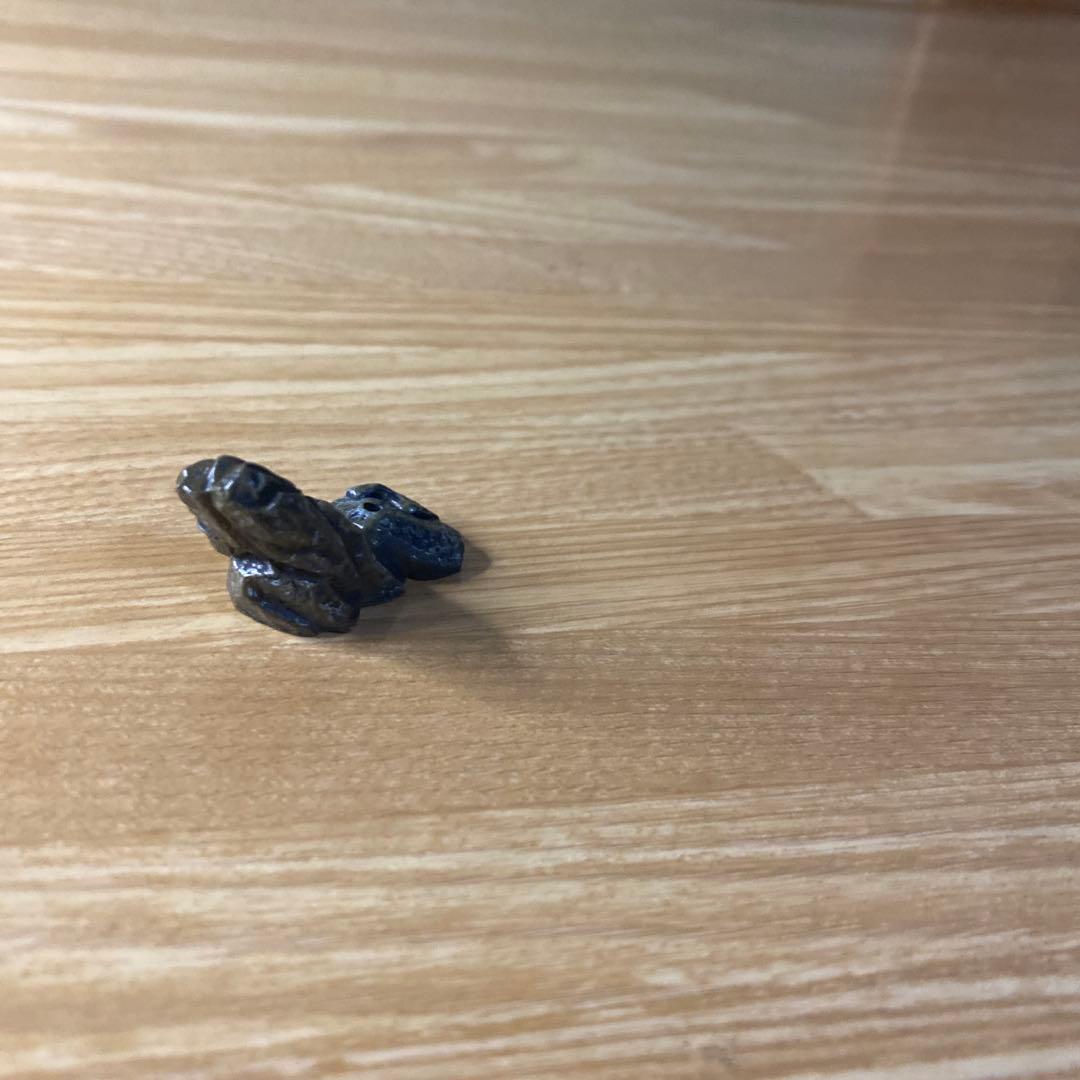 未使用】YUJIN 原色 淡水魚図鑑Ⅰ 改訂版 ヤマメ × アメマス - メルカリ