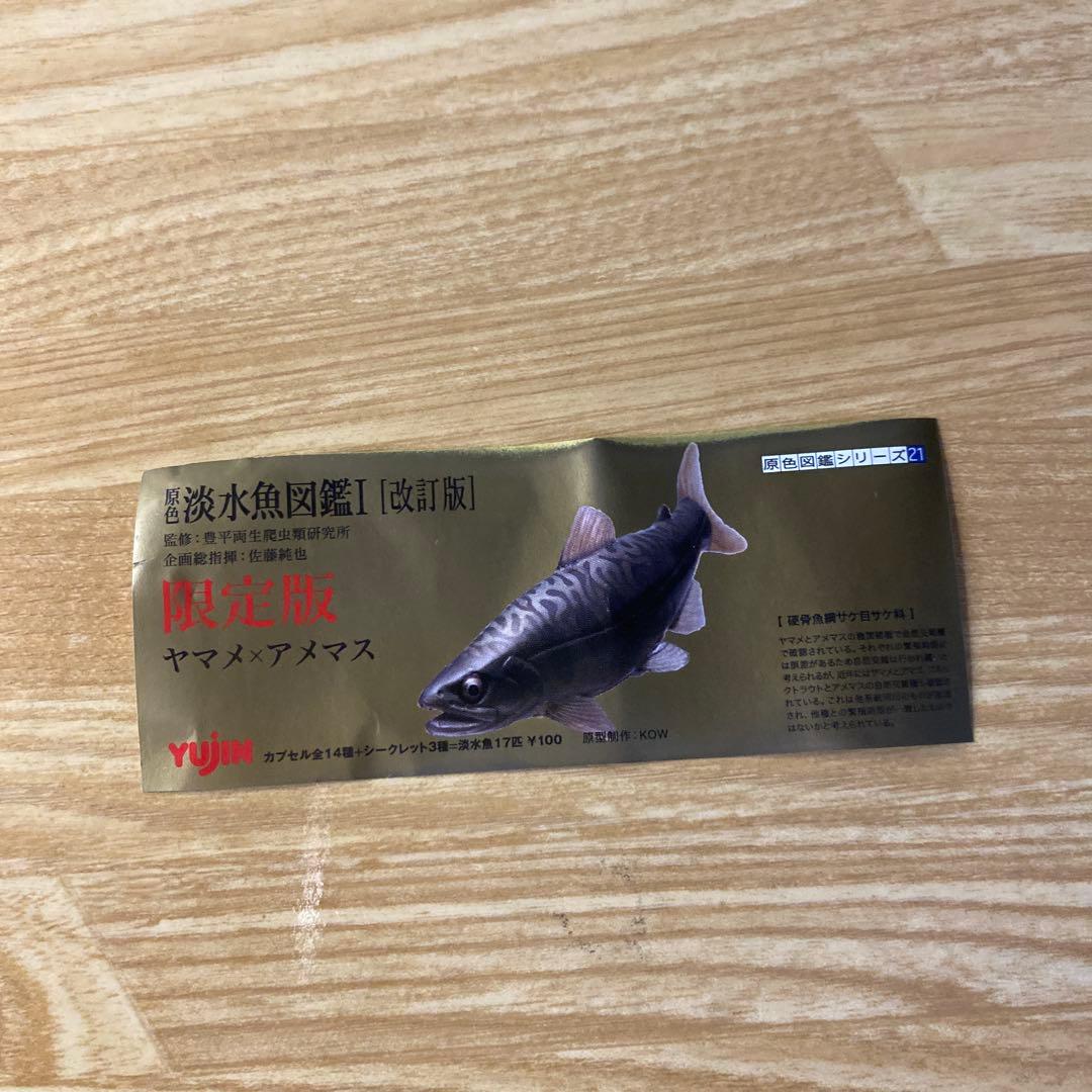 未使用】YUJIN 原色 淡水魚図鑑Ⅰ 改訂版 ヤマメ × アメマス - メルカリ