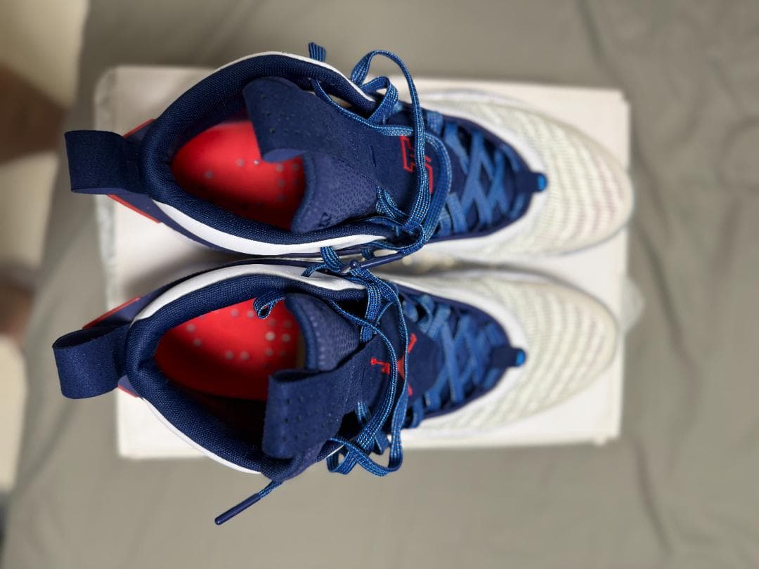 シューズ(男性用) Jordan 36 SE Jayson Tatum PE 29.5cm