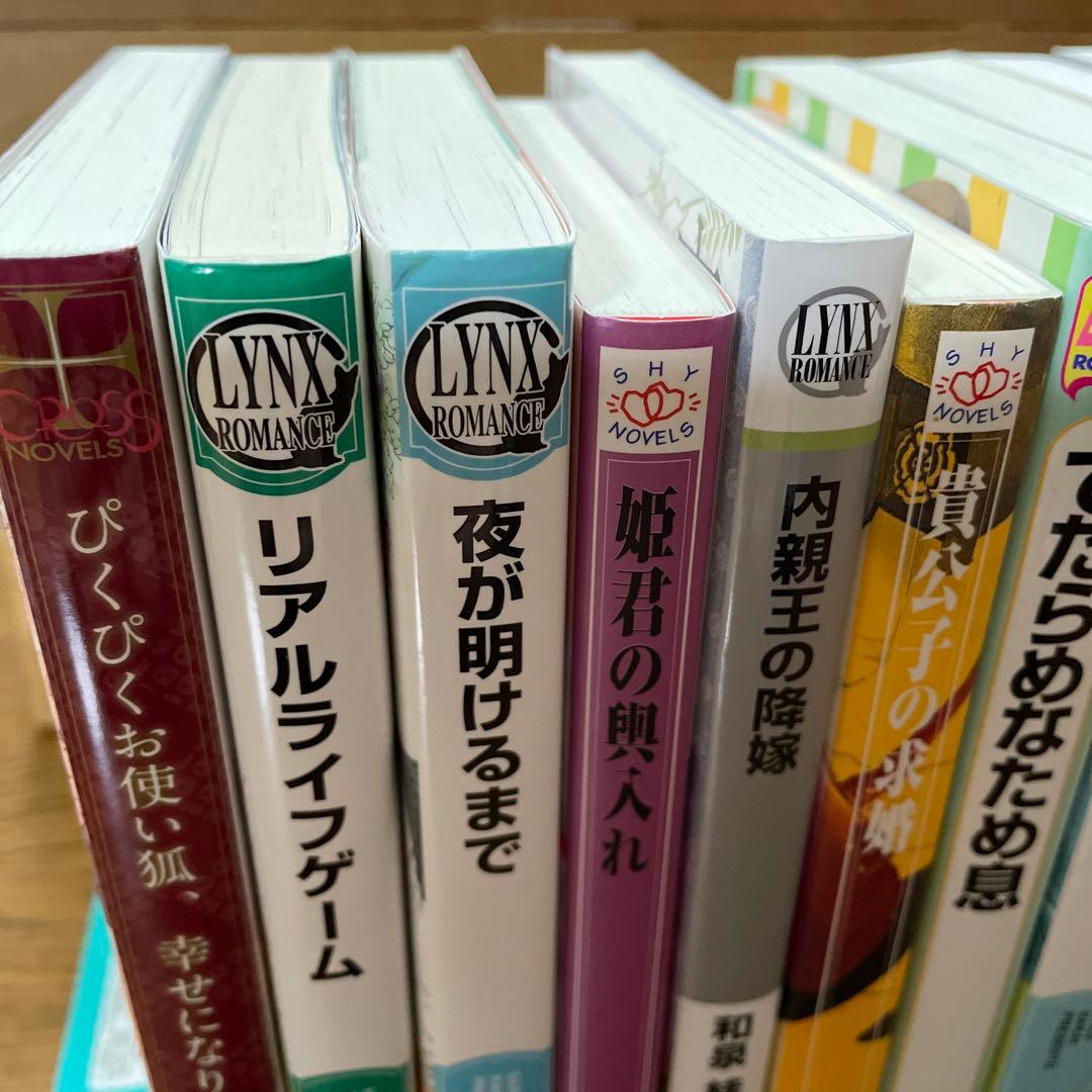 BL小説（大きいサイズ） 12冊セット - メルカリ