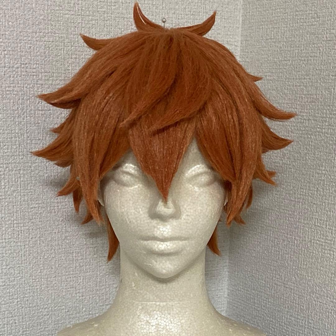 ツイステッドワンダーランド ツイステ コスプレ ウィッグ エース