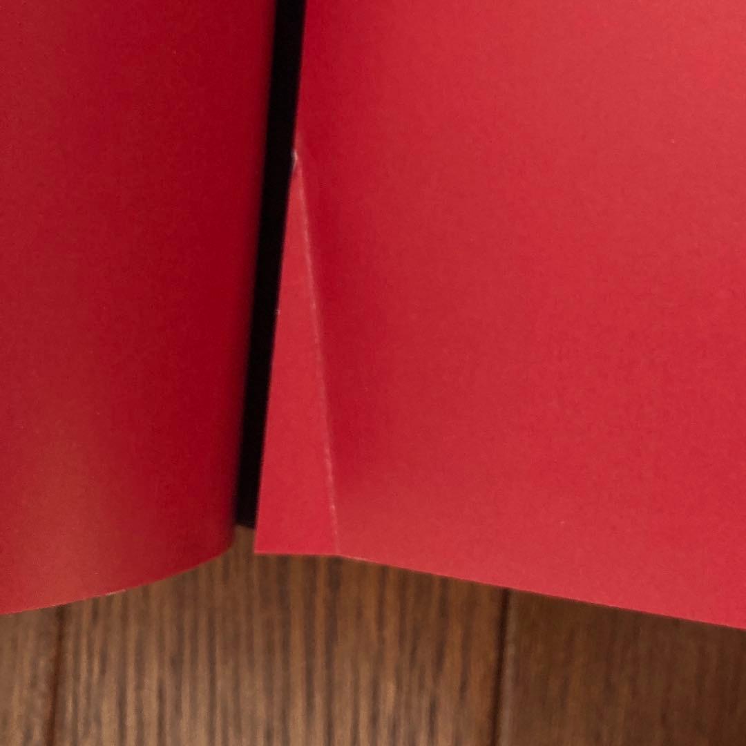 石田えり　大型写真集 56 撮影　ピーター・リンドバーグ　帯つき