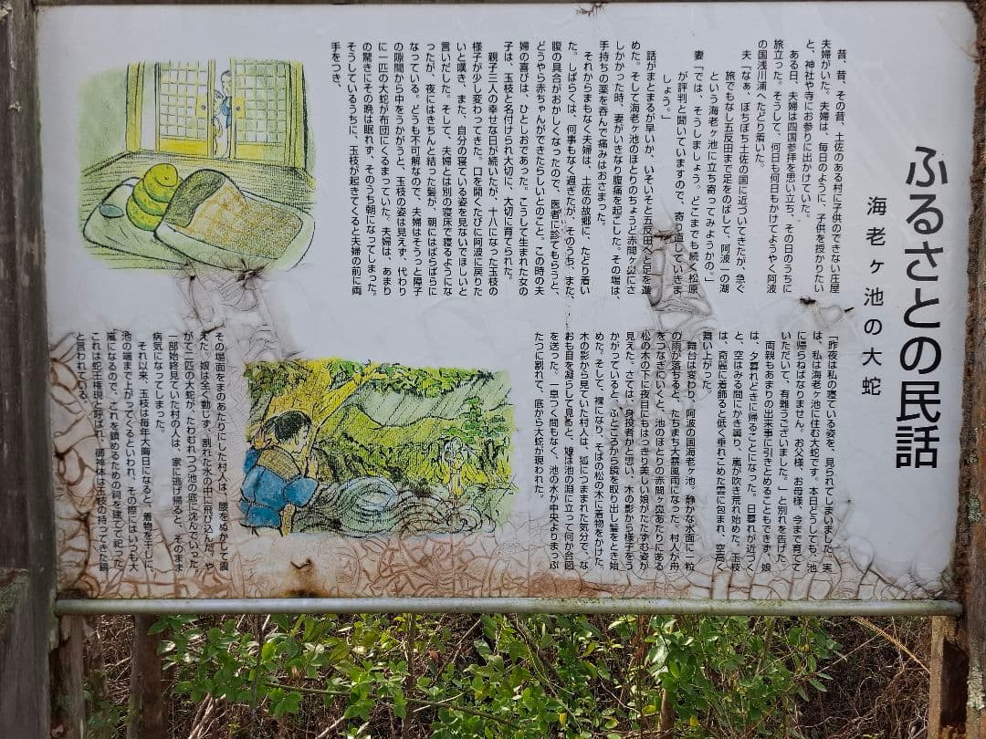 油絵 海老ヶ池 『えびがいけ 』昔話P50