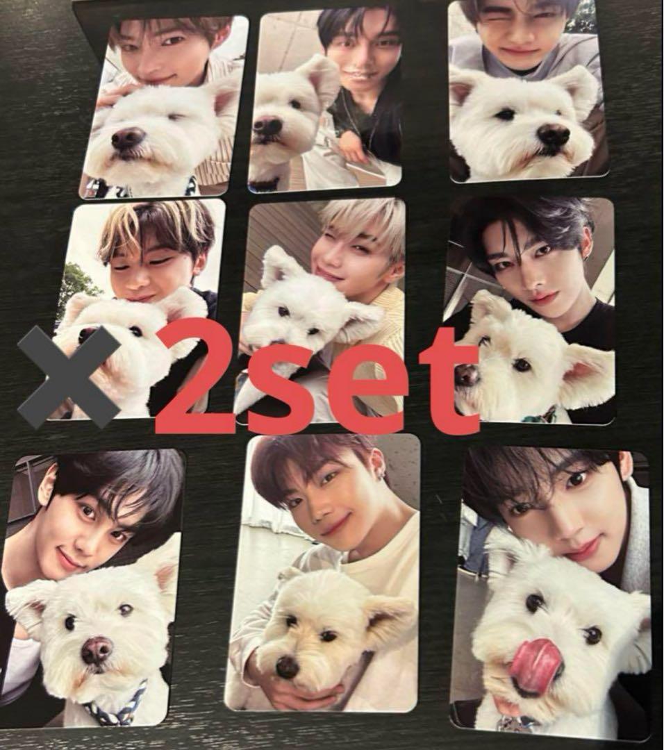 zerobaseone zb1 デジパ　レオ　トレカ　コンプ　9種 zerobaseone zb1 デジパ レオ トレカ コンプ 9種 - メルカリ