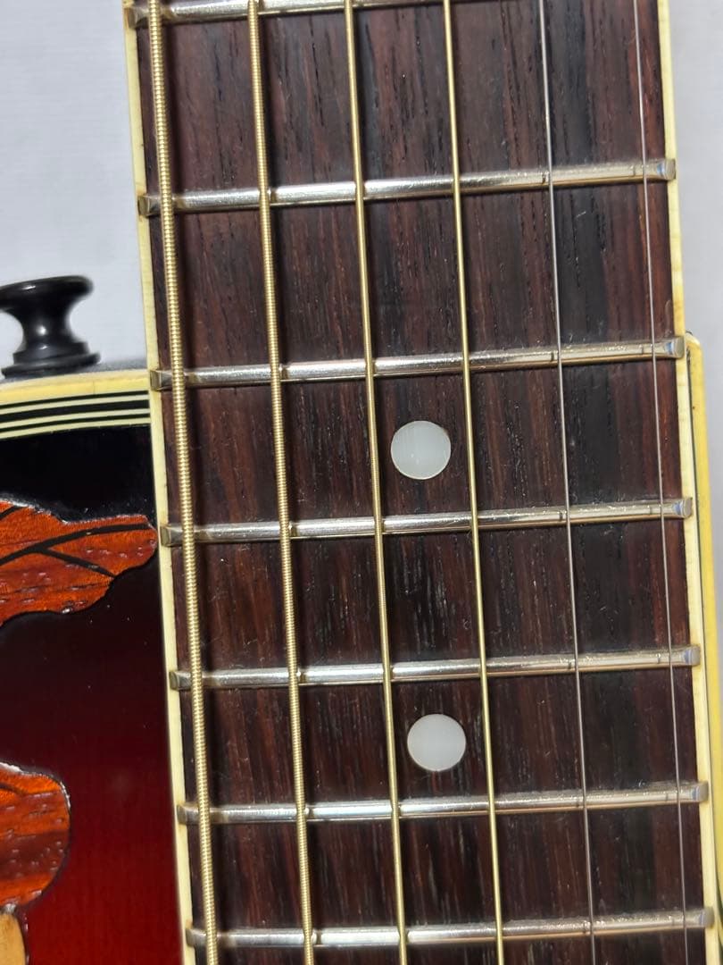 専用❗️程度上々❗️Ovation Celebrity Deluxeオベーション‼️ - メルカリ