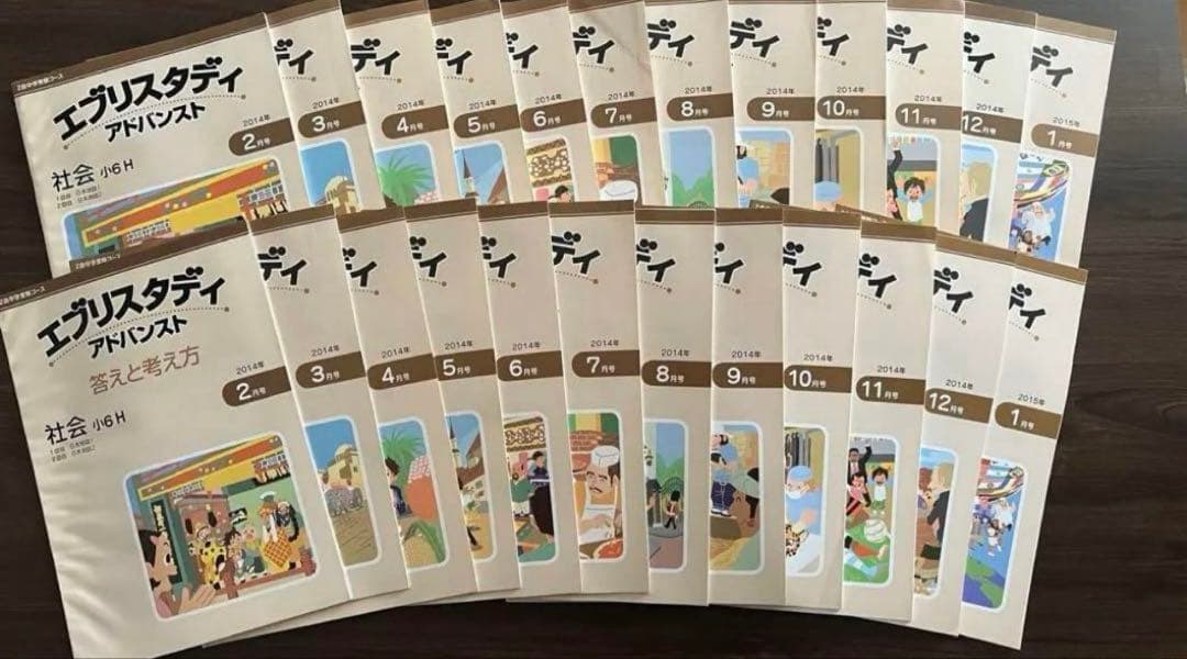 Z会 エブリスタディ アドバンスト 国語、社会 まとめ売り | 激安通販の
