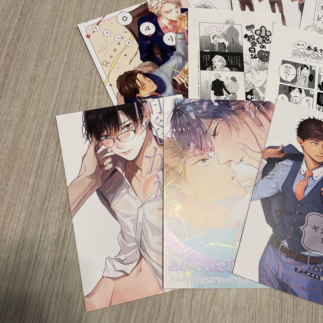 特典のみ BL ペーパー 13枚セット アニメイト リーフレット 小冊子