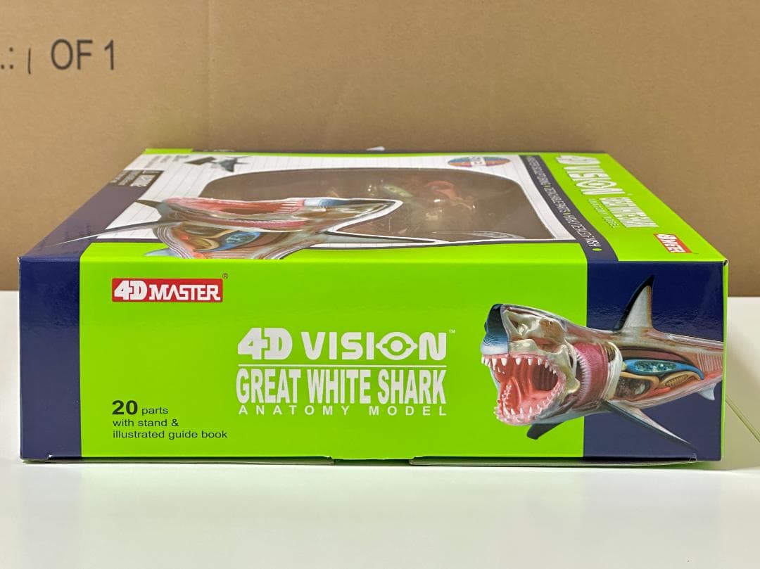 4Dビジョン ホホジロザメ 鮫 解剖モデル Great White Shark - メルカリ