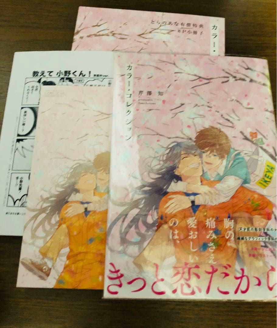 BLコミックまとめ⑤　※2冊〜