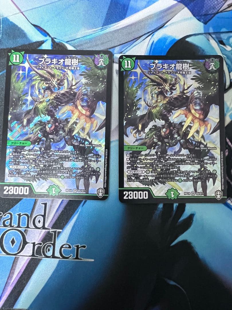 ブラキオ龍樹 2枚 - メルカリ