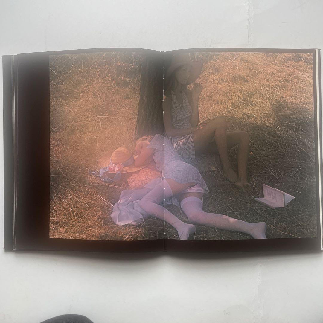 s*y様 希少、　デビットハミルトン写真集4冊組