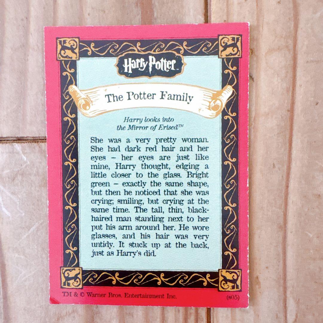 ハリーポッター カエルチョコ 3DカードThe Potter Family