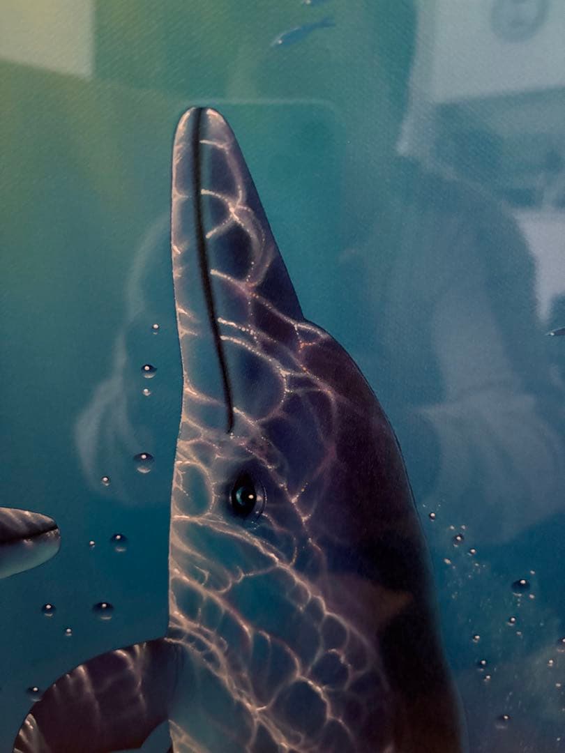 ラッセン版画エンブレイシング・ザ・ライト ミクストメディア 手色彩