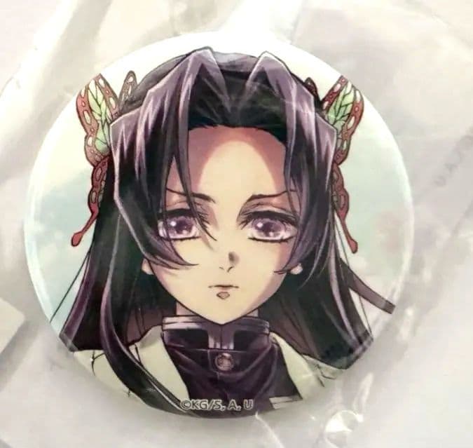 c106 鬼滅の刃 「繋ぐ」しのぶとカナエ A賞 F賞セット - メルカリ