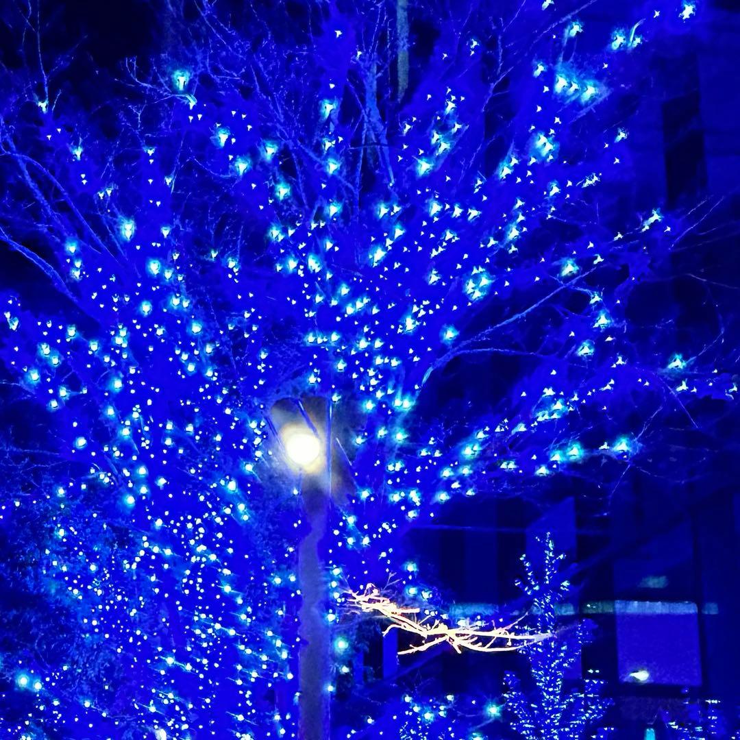 おこめ FX2-TELヒョウジュン(1)(W)（美品保証なしB） NTT製 レカム FX2-