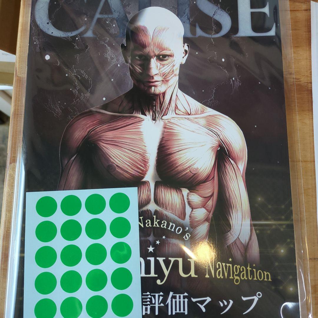 中野雅章の Nakano`s『施術の見える化システム』チユナビ