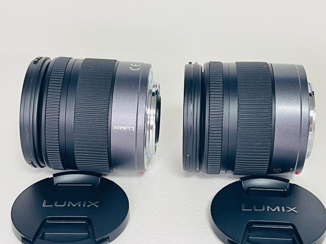 LUMIX G VARIO 14-45mm f/3.5-5.6 ASPH 美品