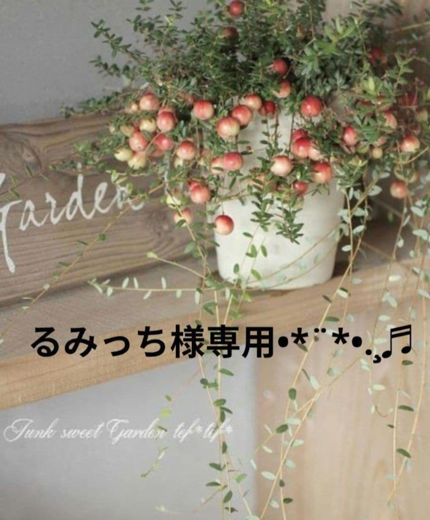 るみっちページです‧⁺ ⊹˚. $5 you can put card on front page