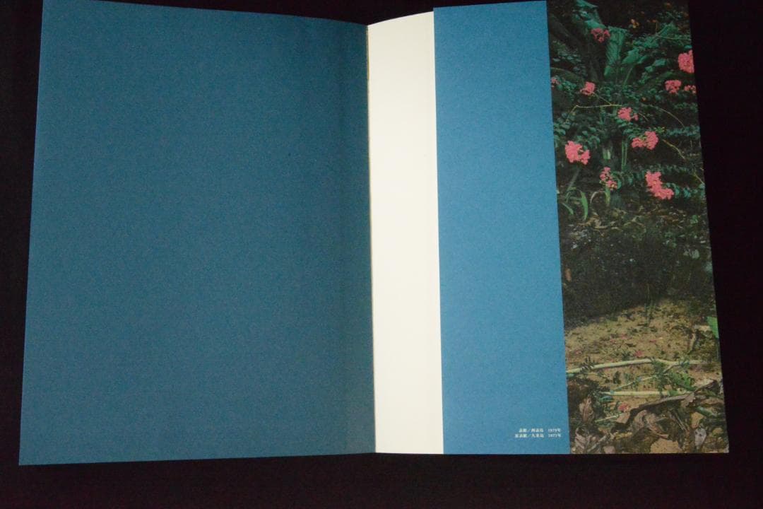 沖縄マンダラ】東松照明 新品未読品 大幅に値下げしました - メルカリ